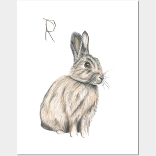 R for Rabbit alphabet illustration Posters and Art